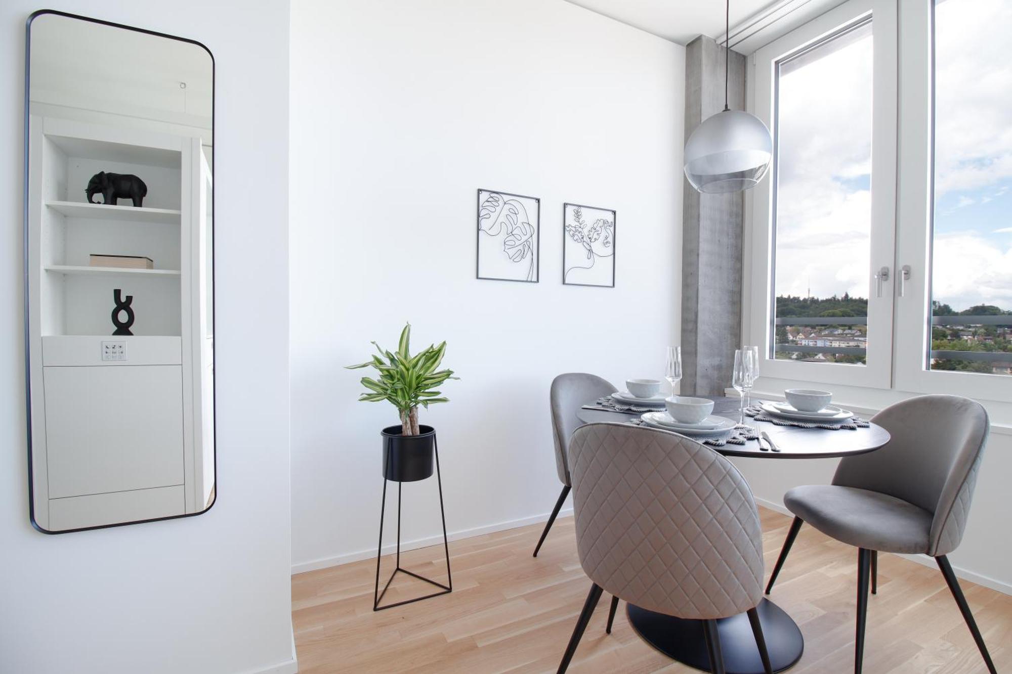 Loewe Apartments Am Rheinfall ノイウハウゼン・アム・ラインファル エクステリア 写真