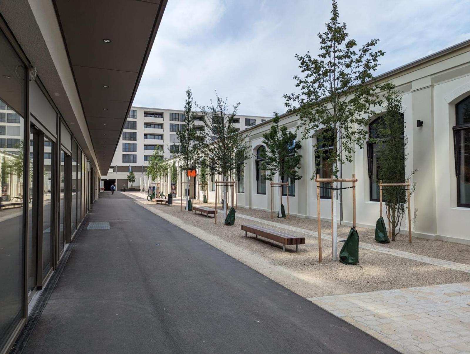 Loewe Apartments Am Rheinfall ノイウハウゼン・アム・ラインファル エクステリア 写真