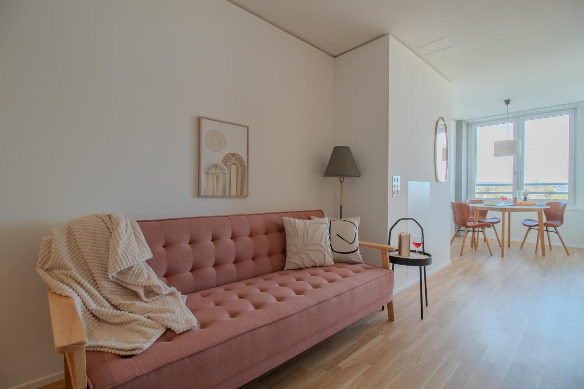 Loewe Apartments Am Rheinfall ノイウハウゼン・アム・ラインファル エクステリア 写真