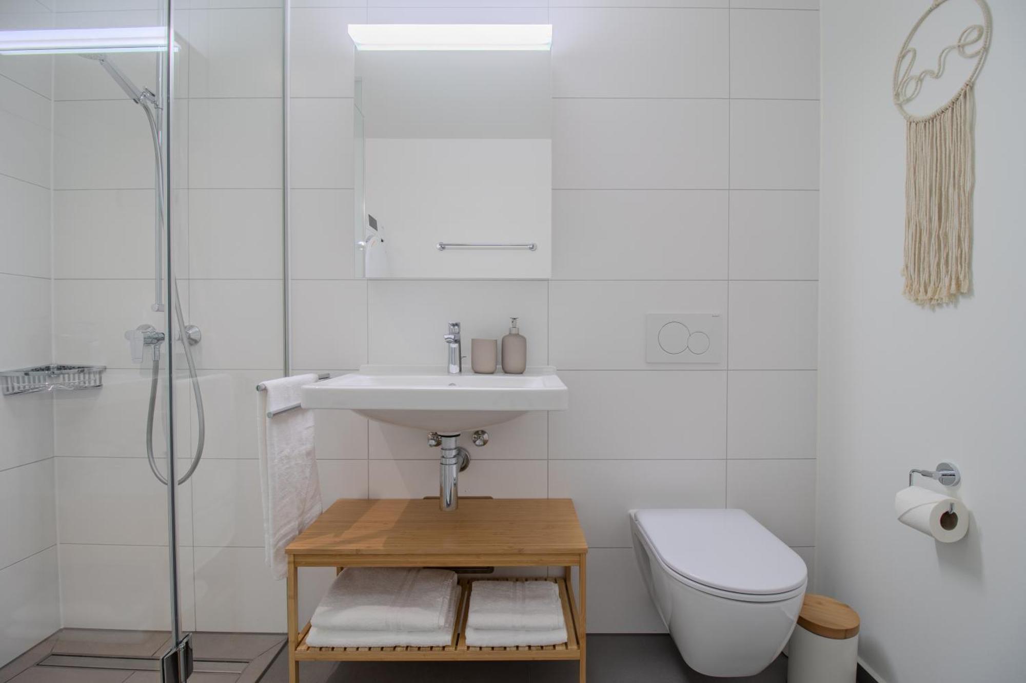 Loewe Apartments Am Rheinfall ノイウハウゼン・アム・ラインファル エクステリア 写真